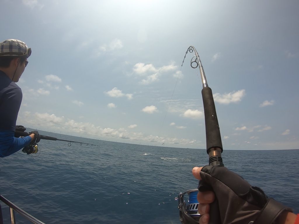 マグロ素人が 釣って食べる まで備忘録31項目 手巻き深海 専門店